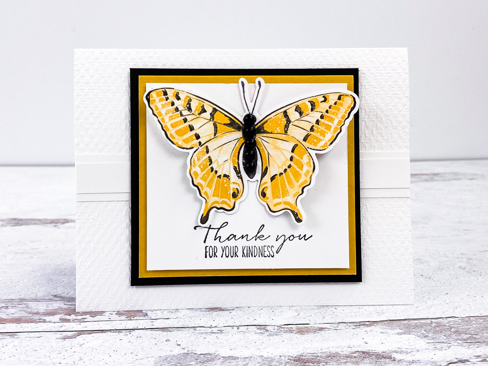 Butterfly Brilliance Bundle from Stampin Up