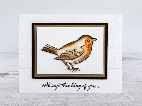 How-to-make-a-Christmas-card-with-Wren-stamp-and-colored-pencils
