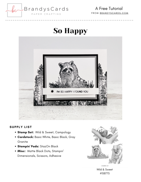 Wild & Sweet Cards Raccoon PDF Tutorial