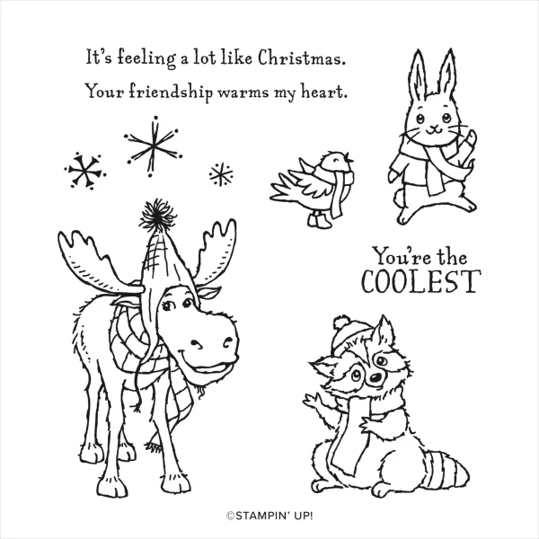 All-Bundled-Up-Cards-Stampin-Up-Designs-By-Brandy-Cox
