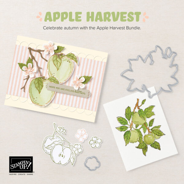 Stampin-Up-Apple Harvest-Bundle-Card-Making-Dies