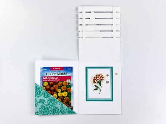 lattice-split-card-with-seed-packet-Stampin-Up-Marigold-Moments